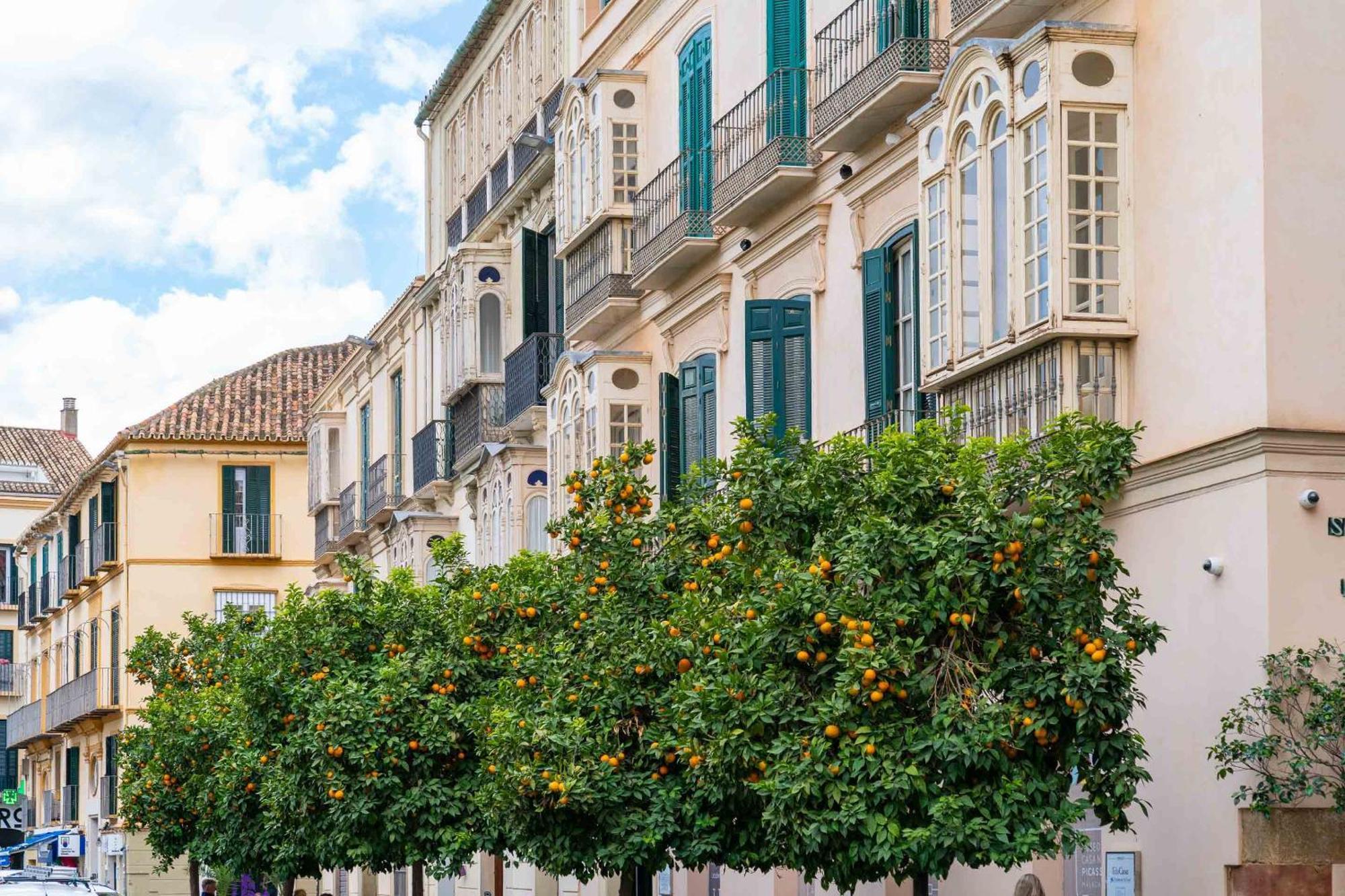 Limehome Malaga Calle Victoria Экстерьер фото